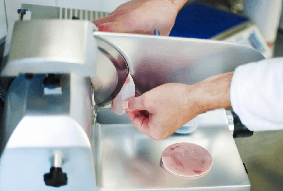 Chef's Choice Meat Slicer Review and Guide [2022] Meat 'n Marrow